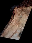 Xl Wicked Curly Birdseye Maple Burl Wood Blank  Live Edge Maple Curly Maple Burl