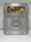 Nd 0 25 Grams Gold Nugget Authentic Icg