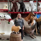 Sheep Merino Ewe Lamb Standing Head Up Life Size Resin Statue Display Farm Prop