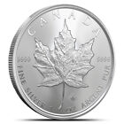 2025 1 Oz Canadian Silver Maple Leaf Coin  bu - Lot Of 10 