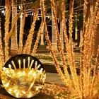 300 Led String Lights Outdoor   Indoor  100ft Christmas Tree Lights Waterproof