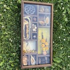Vintage 70s Rustic Wall Displaycase Nature 12 Compartments Under Glass Mcm Decor