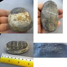 200 Bc Ancient Stone Relief Engraved Of Hunters   Lion Fights