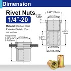 1 4-20 Rivet Nuts  Zinc Plated Carbon Steel Threaded Insert Rivnut Nutsert  F   