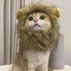 Cute Lion Mane Cat Wig Small Dog Cats Costume Lion Mane Wig Cap Hat For Dogs Cat