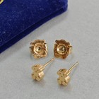 Tous Earrings Bear Design Elegant Jewelry Gold Fashion Accessories F312
