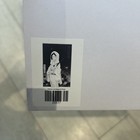 2025 Star Wars Celebration Japan Princess Leia Organa 11x17 Badge Art Poster