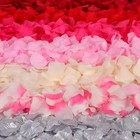 100 1000pcs Artificial Colors Silk Flower Rose Petals Wedding Party Decorations