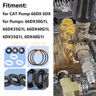 New 34262 Seals Rebuild Kit For Cat Pump 66dx 6dx Pressure Washer Pump 6dx35g1i