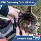 Gotags Cat Collars With Personalized Tag  Breakaway Collar With Safety Buckle