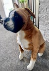 Large Boxer Dog Plush Realistic Melissa   Doug 24  Tall Stuffed Animal Plush Toy