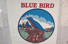 Empty Blue Bird Enriched Bleached Flour Cloth Bag Sack 25 Lbs  Cortez Milling Co