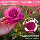 Dried Rose Petals Bulk 5oz     Natural Red Flower Petals For Bath  Candle  Soap Ma
