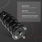 Front Struts With Coil Spring Compatible With Lexus