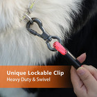 Dog Long Leash  50ft Recall Training Lead  With 2 Swivel Hooks  Reflective