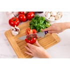 Ginsu Kiso Dishwasher Safe Purple 14 Piece Set Natural Block Purple