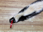 Tanned Skunk Hide Extra White  1 Quality A-16  0016802