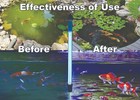 40w Uv Submersible Light Up 6000 G Water Clarifier For Koi Pond  Swim Pool Algae