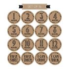16 Rustic Baby Milestone Stickers  12 Monthly Photo Picture Props Girl Boy   
