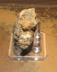 43 Gm Sericho Pallasite Meteorite Individual F  Kenya Std Olivine  Jal