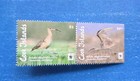 Cook Islands Stamps  Scott 1587 Mnh  Folded 