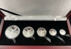 2010 Mexican Libertad 5 Coin Set Silver Proof