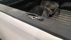 Used Truck Bed Assembly Fits  2025 Chevrolet Silverado 2500 Pickup 6  6   Box W 