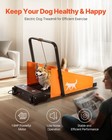 Dog Treadmill For Medium Dogs Up To 200lbs Electric Pet Treadmill