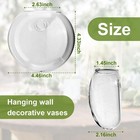 Wall Mount Plant Propagation Station - Clear Hydroponic Glass Vase  Oblate Pl   
