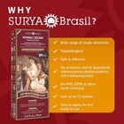 Surya Nature Henna Light Brown Hair Coloring Cream 2 31 Ounces Pack Of 1