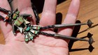 Very Old Zuni Handmade Sterling Silver   Turquoise   Coral Bird Kachina Bolo Tie