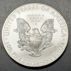 2009 Walking Liberty American Eagle  999 Fine Silver Dollar Coin 1oz   1 Usa Bu
