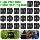10 20 40pcs Plant Rooting Device Grow Graft Box High Pressure Propagation Ball
