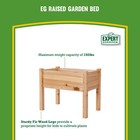 Expert Gardener 2ft High Natural Wood Small Elevated Garden Bed
