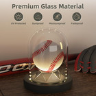 Baseball Display Case With Led Light Base  Glass Dome Cloche Baseball