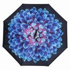 Inverted Reverse Umbrella With C-shaped Handle Windproof Upside Down Umbrella   