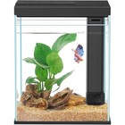 2 Gallon Glass Betta Fish Tank Kit W  Led Light Filter   Easy Clean Design New