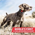 Sportdog 825 825fs Fieldsentinel Remote Dog Training Collar Brand New