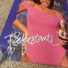 Vintage 1989 Puerto Rico Michelob Dry Promo Girl Beer Poster    refrescante    28x20
