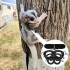 4pcs set Sugar Glider Outdoor Harness Traction Rope Hamster Squirrel Chest Strap