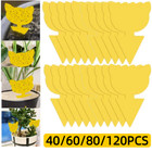 40-120pcs Sticky Fruit Fly Traps  Fungus Gnat Killer Trap Use For Indoor Outdoor