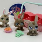 Rabbit Triplets  1332 1333 1334 - Authentic Littlest Pet Shop - Hasbro Lps