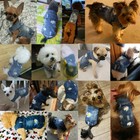 Pet Clothes Puppy Dog Cat Denim Vest Jean Jacket Daisy Embroidered Denim Vests