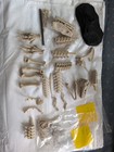 Tyrannosaurus Rex Model Kit  Dinosaurs For Kids  Very Fine Detail 3d Printed