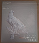 2017p Austrailia Ngc Pf70 High Relief Rev Pf  8 5 Ounce Wedge Tailed Eagle  1184