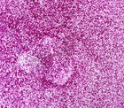 Pink Extra Fine Glitter Shimmer Nail Art Makeup Crafts 1 Pound Bulk Bag