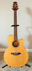 Takamine Acoustic Electric Guitar Egs430sc Built-in Equalizer   Hard Shell Case