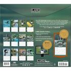 Lang Loons On The Lake 2025 Wall Calendar 