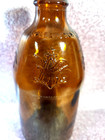 Vintage 1970   s Anheuser Busch Stubby Amber Beer Bottle Eagle Embossed -no Lid