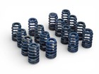 Gm Performance Ls Beehive 90  Blue Valve Springs Ls1 Ls3 Ls2 Ls6 Ls9 - Set Of 16